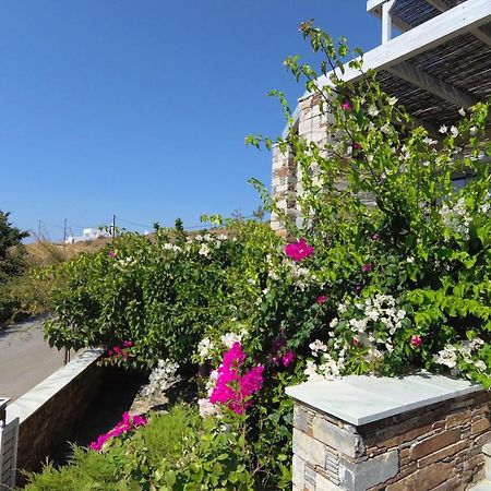 Aeolia Villas Κάρυστος Εξωτερικό φωτογραφία